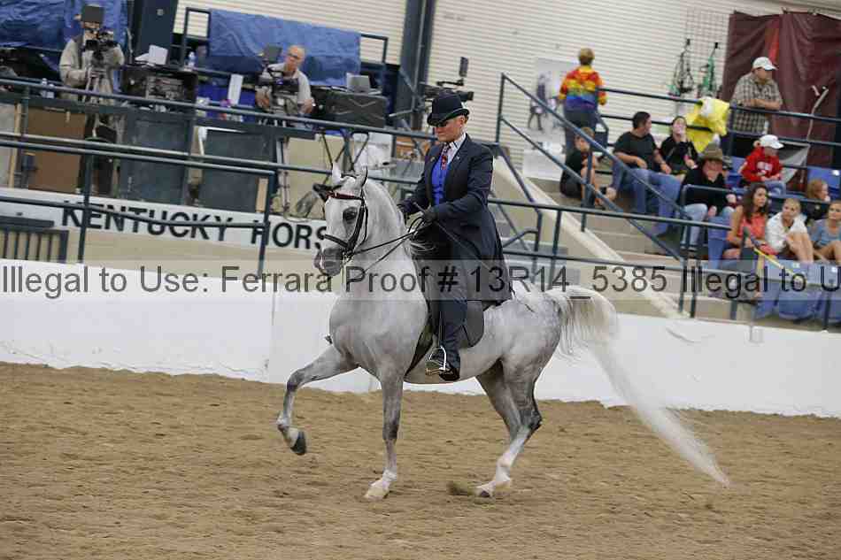 Proof 13r14_5385
