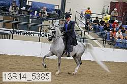 13r14_5385 proof