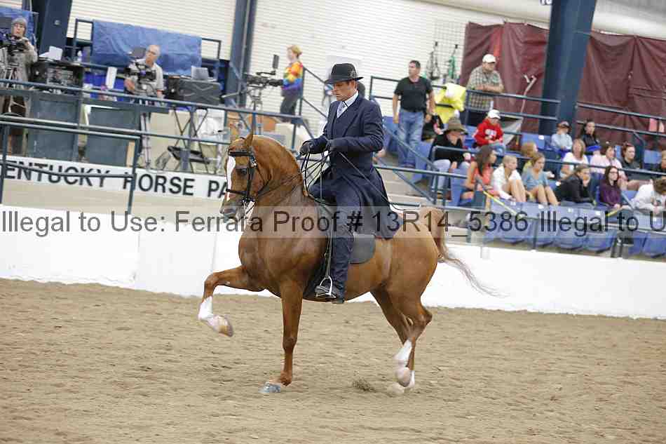 Proof 13r14_5386