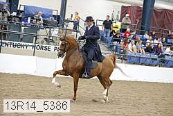 13r14_5386 proof