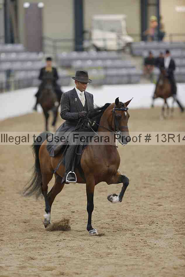 Proof 13r14_5387