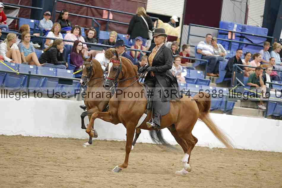Proof 13r14_5388