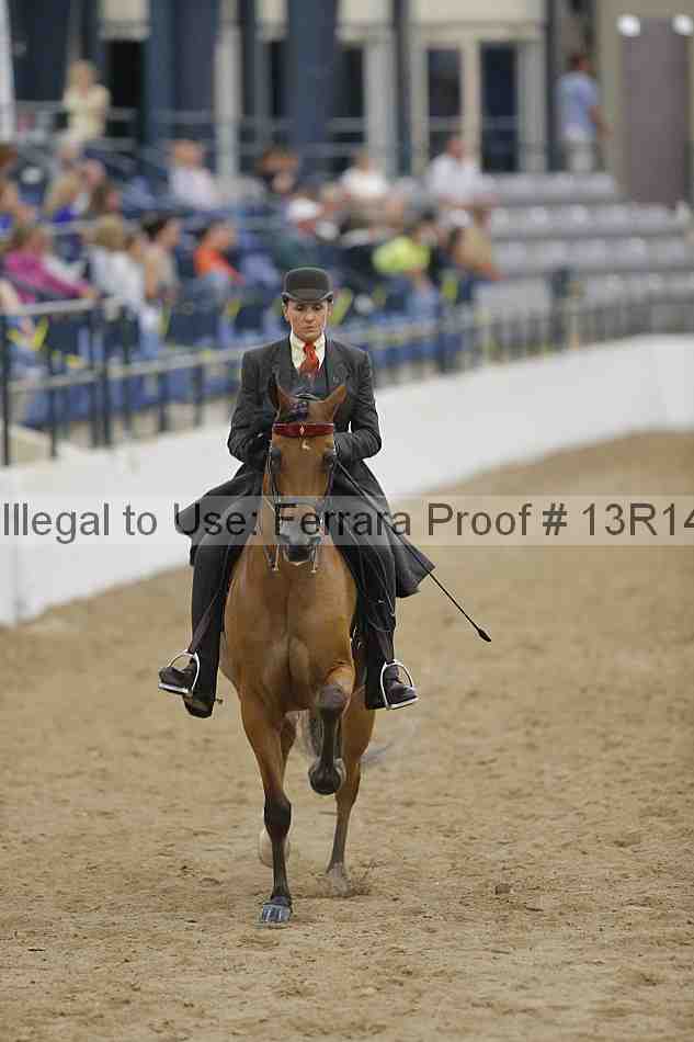 Proof 13r14_5391