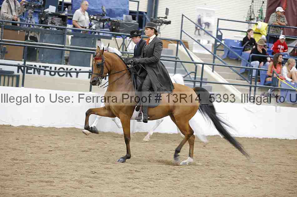 Proof 13r14_5393