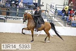 13r14_5393 proof