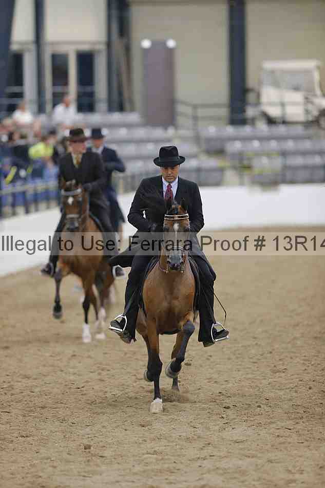 Proof 13r14_5394