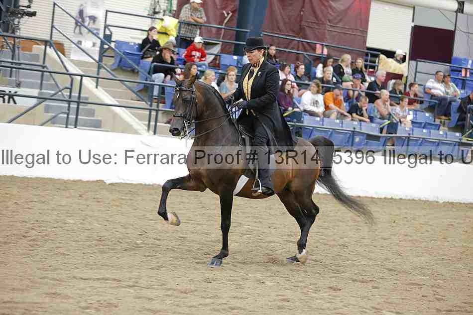 Proof 13r14_5396