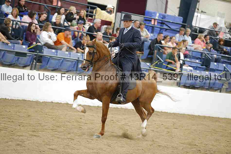 Proof 13r14_5397