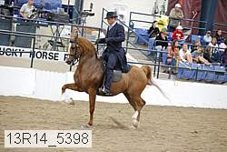 13r14_5398 proof
