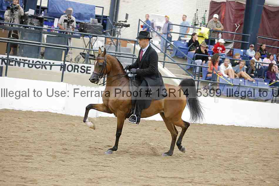 Proof 13r14_5399