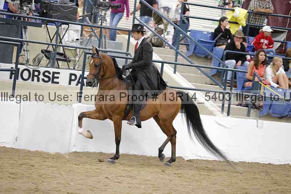 Proof 13r14_5403