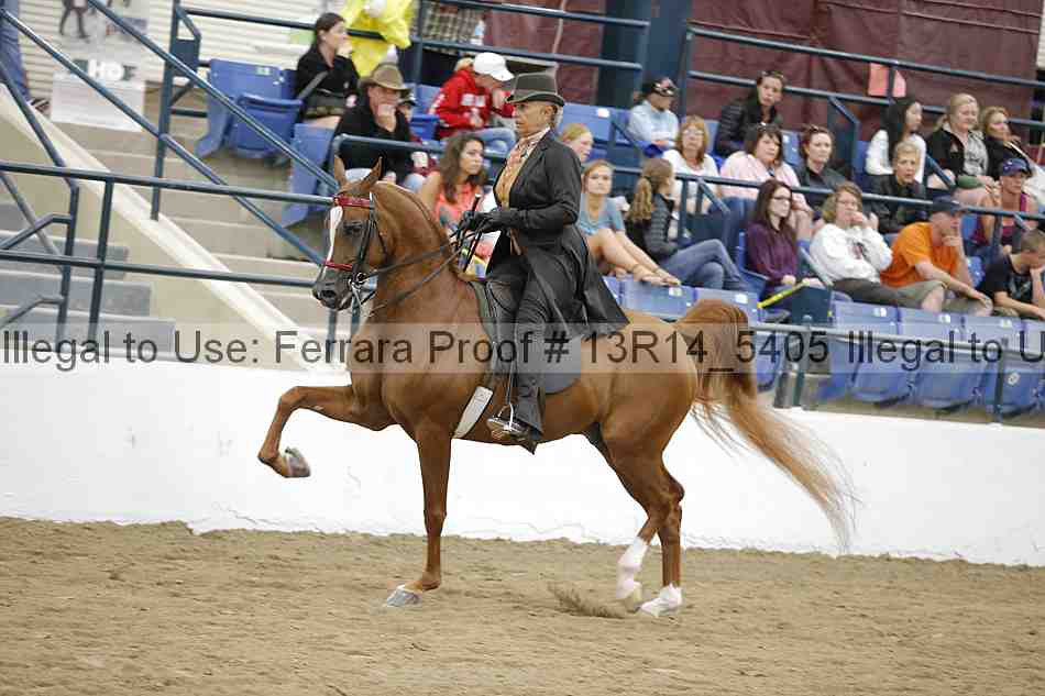 Proof 13r14_5405