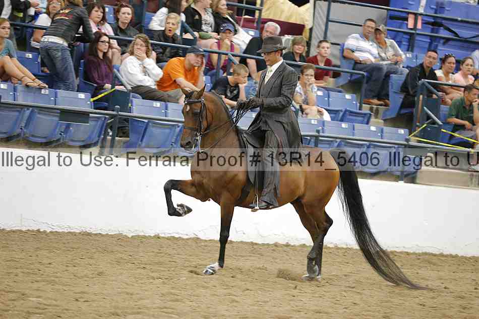 Proof 13r14_5406