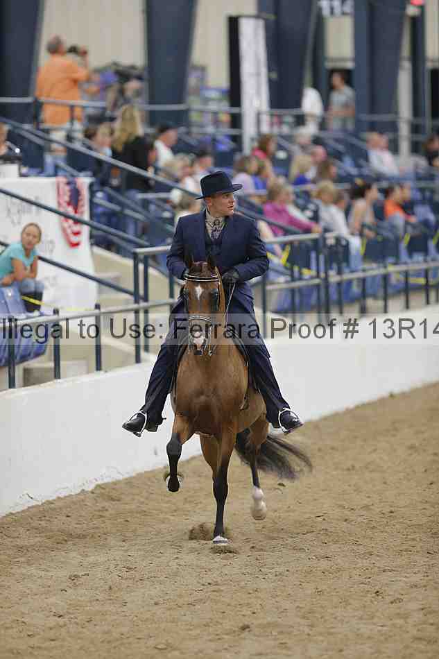 Proof 13r14_5407