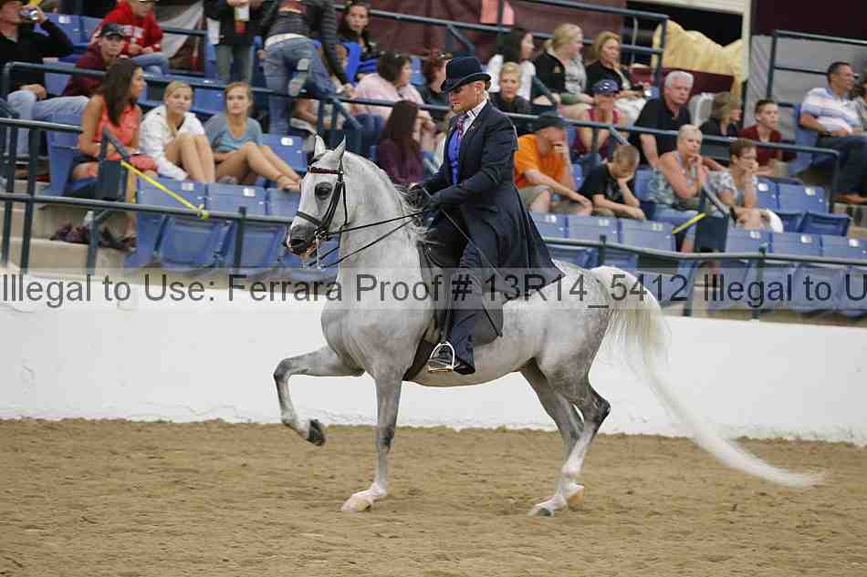 Proof 13r14_5412