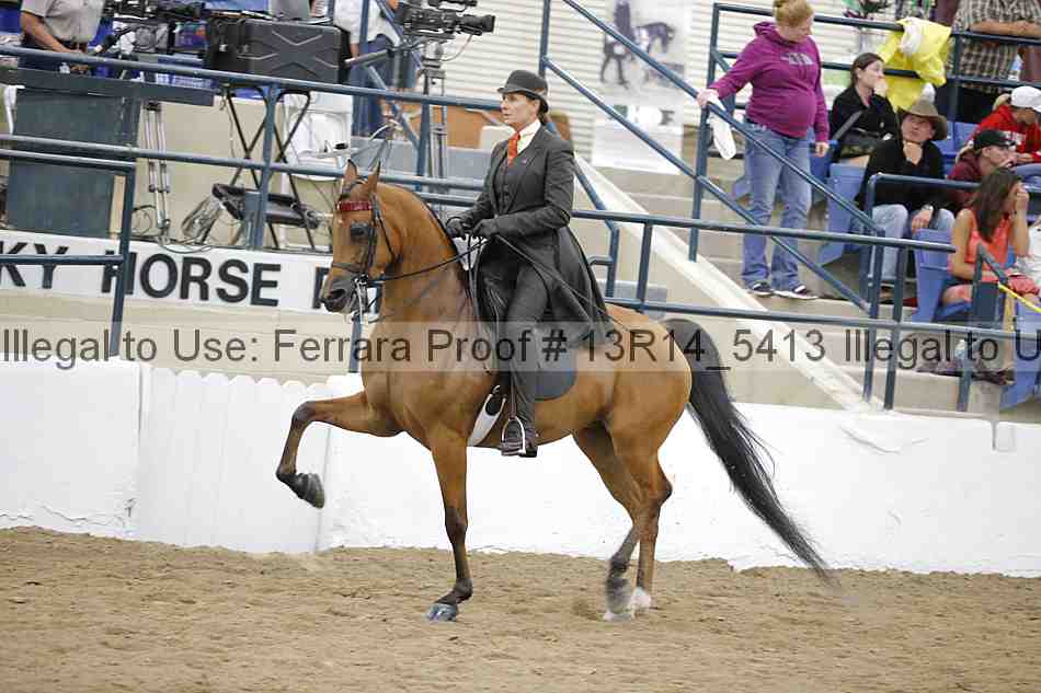 Proof 13r14_5413