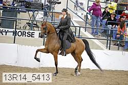 13r14_5413 proof