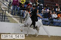 13r14_5414 proof