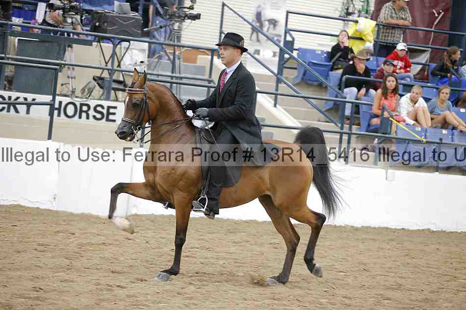 Proof 13r14_5416