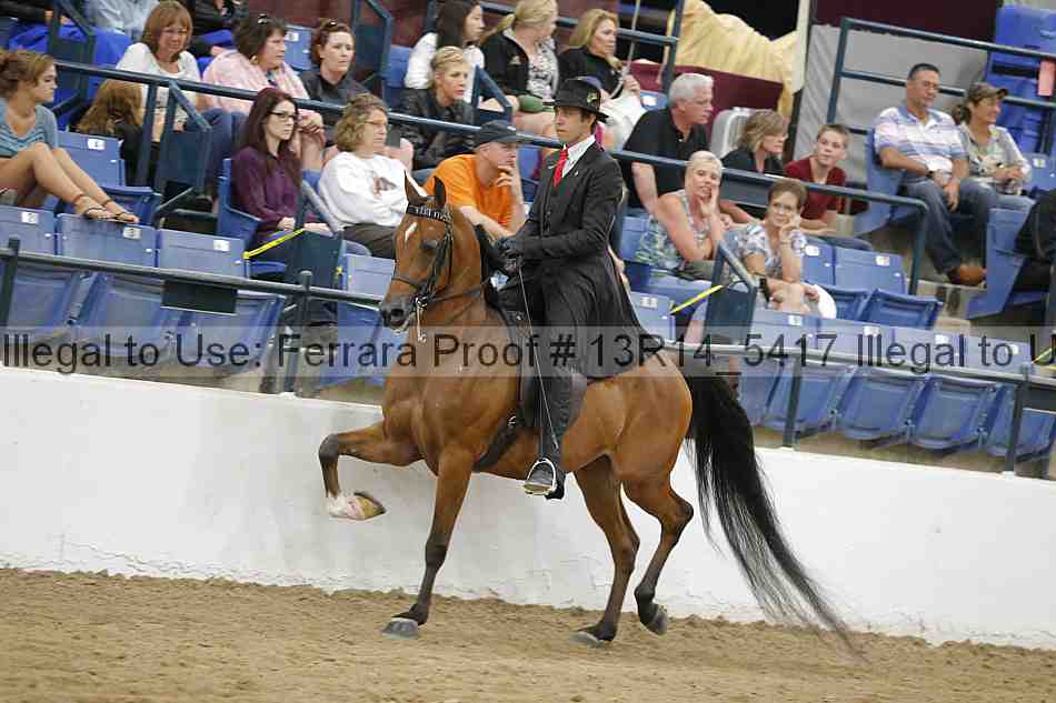 Proof 13r14_5417