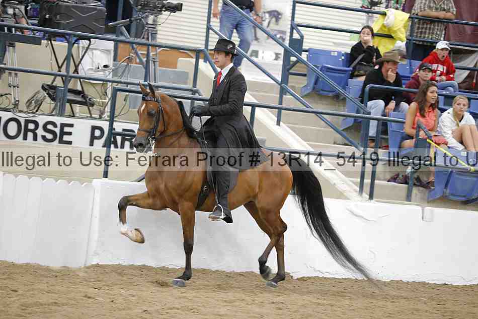 Proof 13r14_5419
