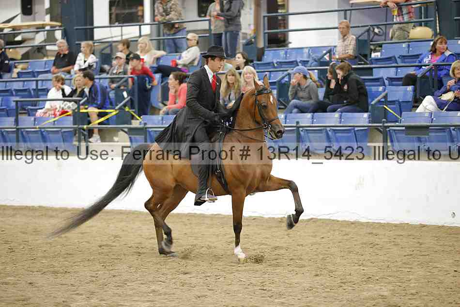 Proof 13r14_5423