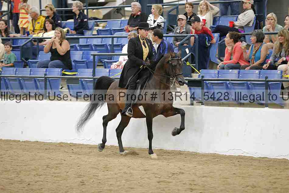 Proof 13r14_5428