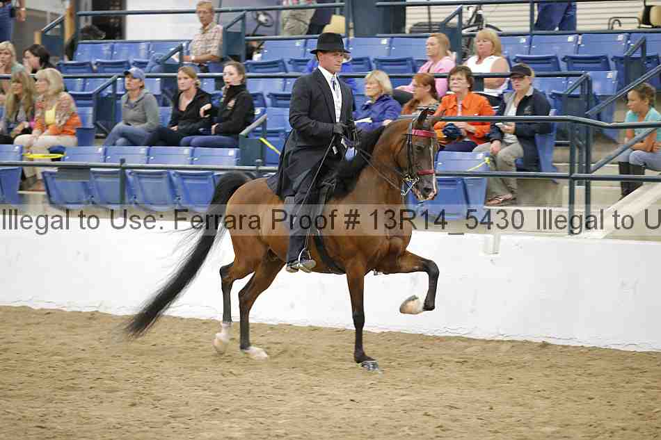Proof 13r14_5430