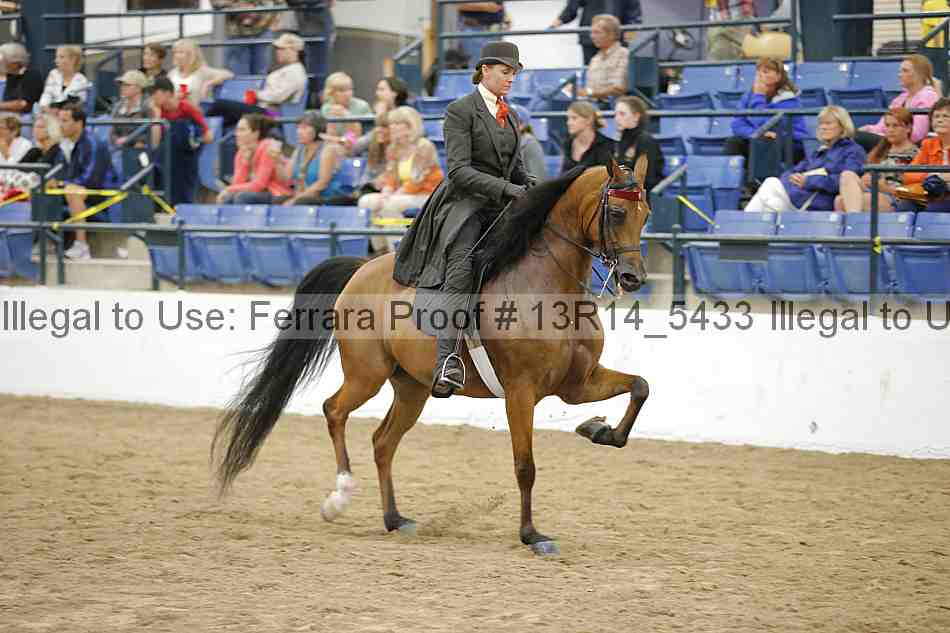 Proof 13r14_5433