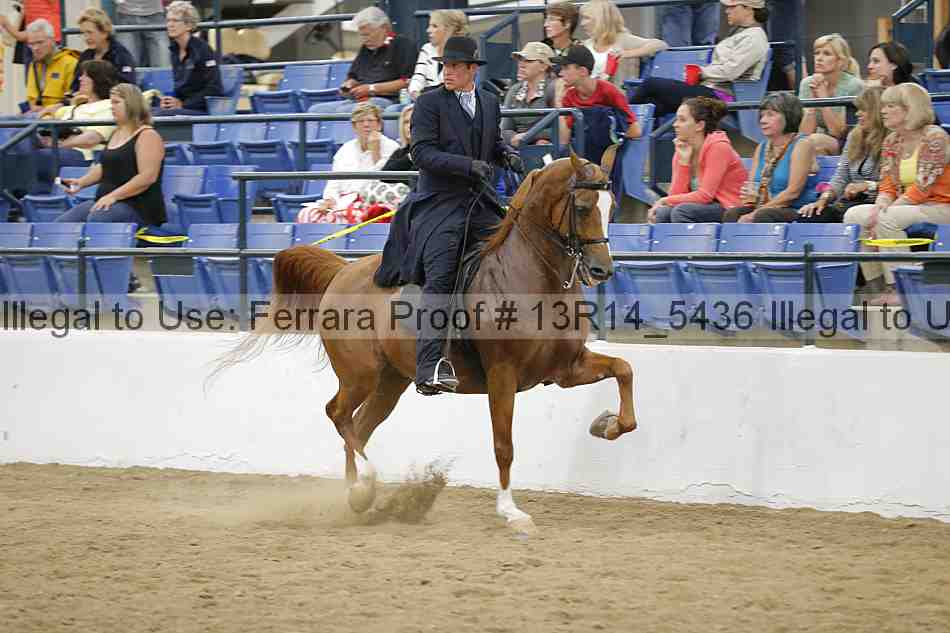 Proof 13r14_5436