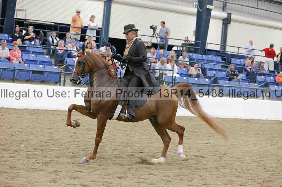 Proof 13r14_5438