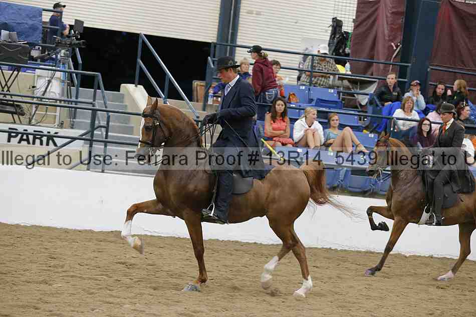 Proof 13r14_5439