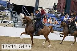 13r14_5439 proof