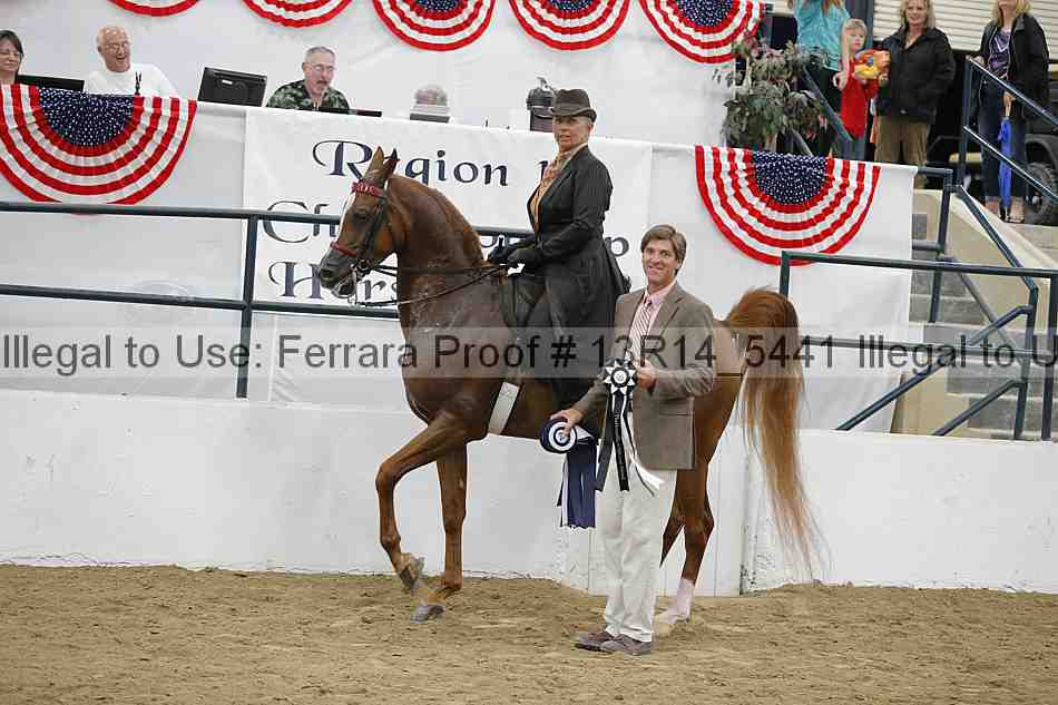 Proof 13r14_5441
