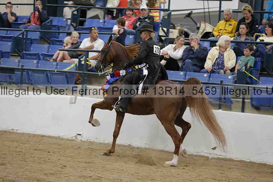 Proof 13r14_5459