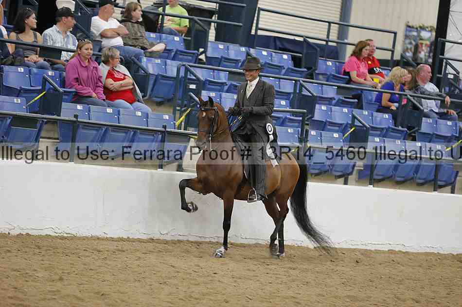 Proof 13r14_5460