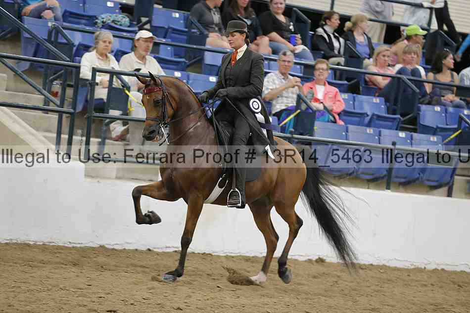 Proof 13r14_5463