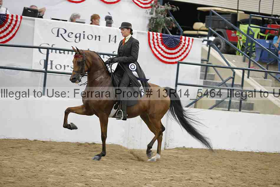 Proof 13r14_5464