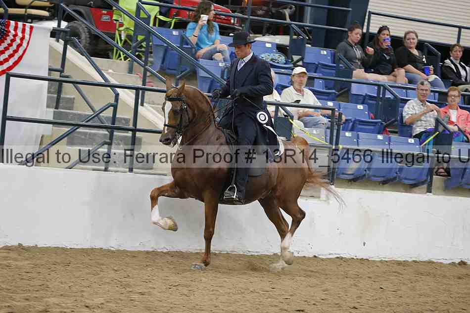 Proof 13r14_5466