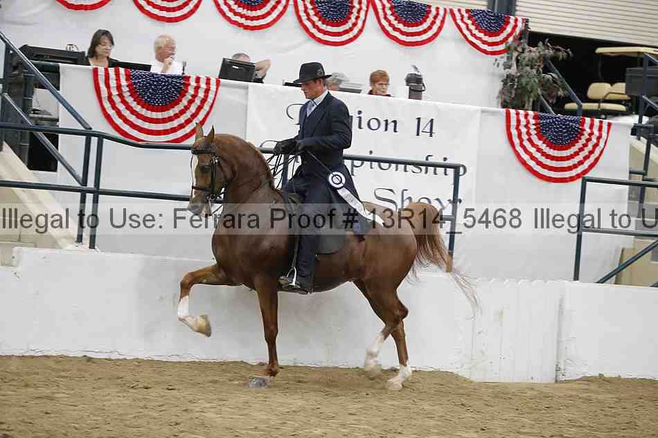 Proof 13r14_5468