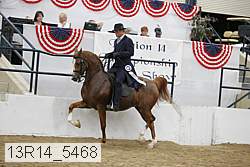 13r14_5468 proof