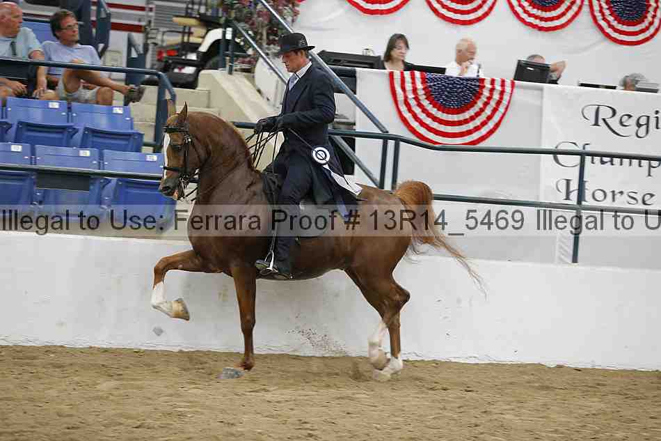 Proof 13r14_5469