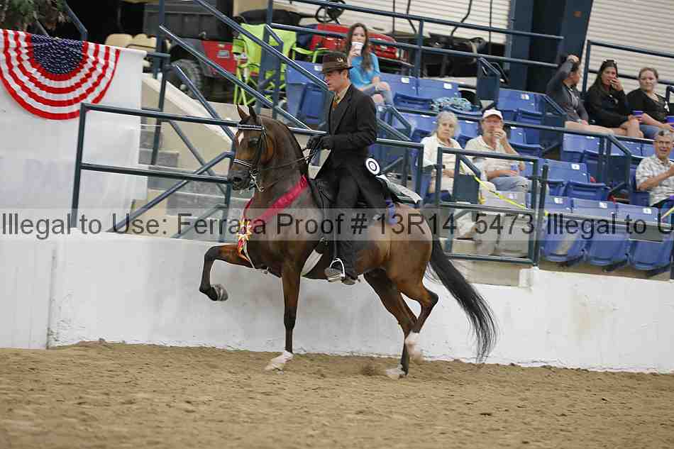 Proof 13r14_5473