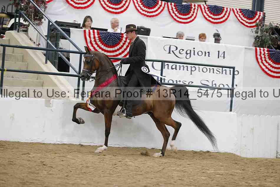 Proof 13r14_5475