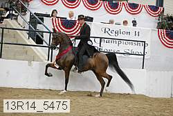 13r14_5475 proof