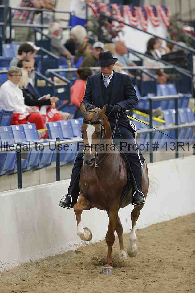 Proof 13r14_5476