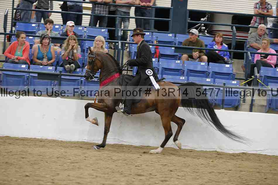 Proof 13r14_5477