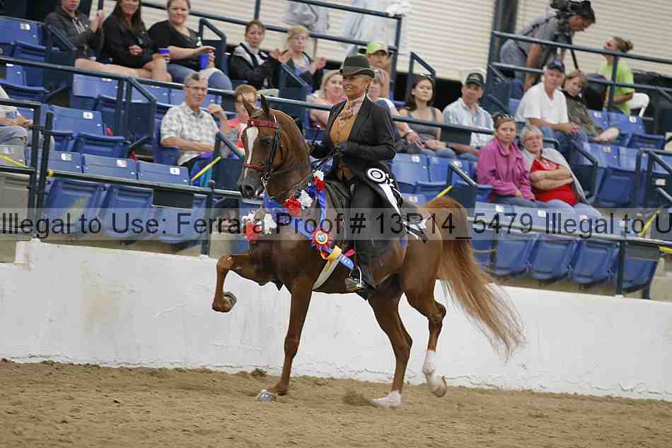 Proof 13r14_5479