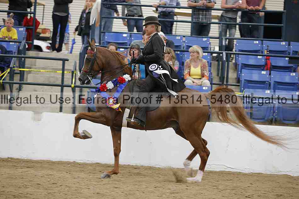 Proof 13r14_5480