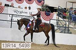 13r14_5498 proof